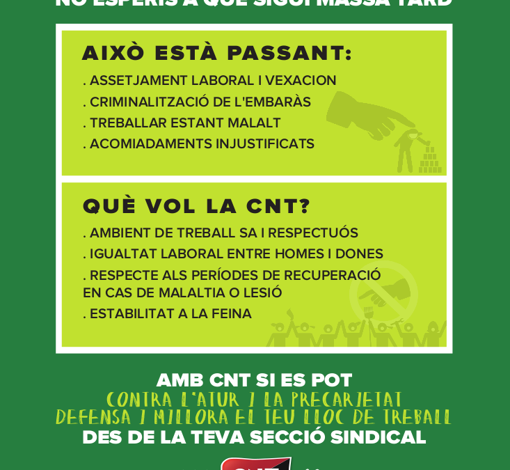 La “gran sort” de tenir Mercadona a la nostra ciutat